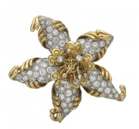 蒂芙尼史隆伯杰系列高级珠宝史隆伯杰铂金与黄金镶嵌钻石海星造型胸针 胸针
