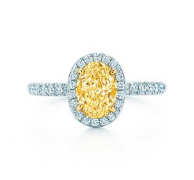 蒂芙尼 铂金镶钻戒圈，珠链式边镶钻石环绕椭圆形钻石订婚钻戒 戒指