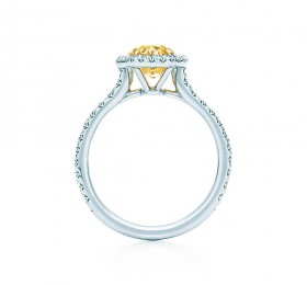 蒂芙尼订婚钻戒铂金镶钻戒圈，珠链式边镶钻石环绕椭圆形钻石订婚钻戒实拍图