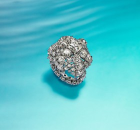 蒂芙尼BLUE BOOK高级珠宝2023 BLUE BOOK铂金镶嵌一颗重逾2克拉的钻石及钻石戒指官方图