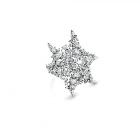 蒂芙尼BLUE BOOK高级珠宝2023 BLUE BOOK铂金镶嵌一颗重逾2克拉的钻石及钻石戒指官方图