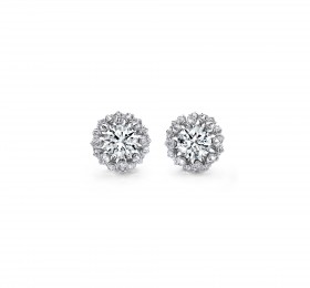 蒂芙尼 18K白金镶嵌一对总重逾17克拉的钻石及钻石耳环 耳饰