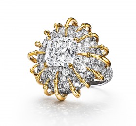 蒂芙尼BLUE BOOK高级珠宝铂金及18K黄金镶嵌一颗重逾5克拉的钻石及钻石戒指 戒指