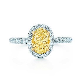 蒂芙尼订婚钻戒铂金镶钻戒圈，珠链式边镶钻石环绕椭圆形钻石订婚钻戒
