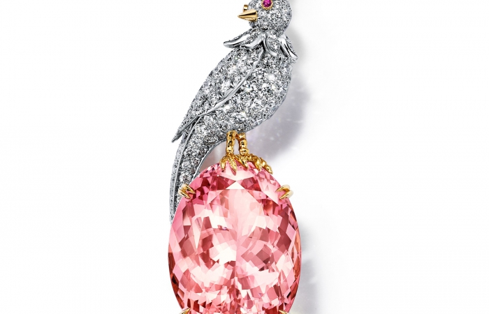 蒂芙尼SCHLUMBERGER™高级珠宝18K黄金及铂金镶嵌摩根石，钻石及粉色蓝宝石“石上鸟”胸针