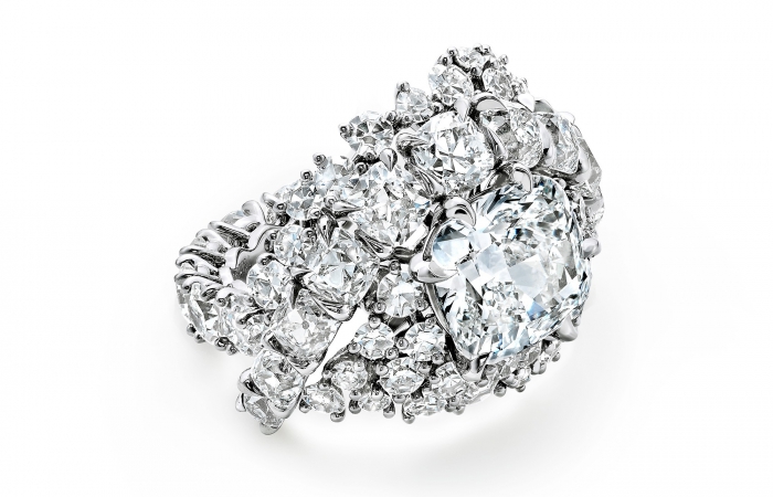 蒂芙尼BLUE BOOK高级珠宝2023 BLUE BOOK铂金镶嵌一颗重逾5克拉的钻石及钻石戒指