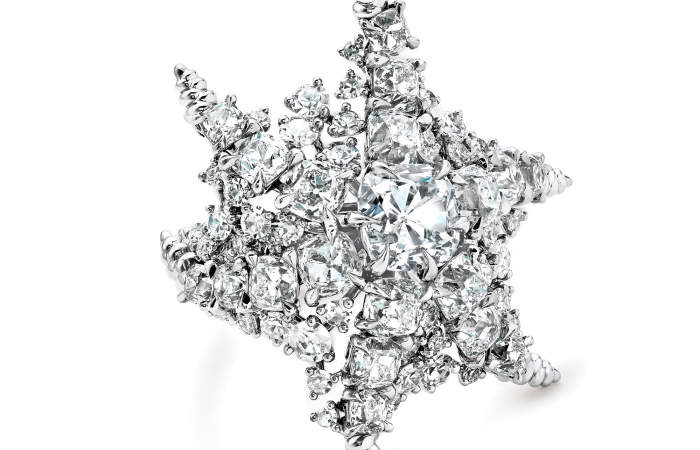 蒂芙尼BLUE BOOK高级珠宝2023 BLUE BOOK铂金镶嵌一颗重逾2克拉的钻石及钻石戒指