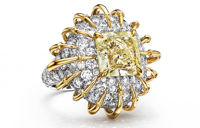 蒂芙尼BLUE BOOK高级珠宝铂金及18K黄金镶嵌一颗重逾6克拉的浓彩黄钻及钻石戒指