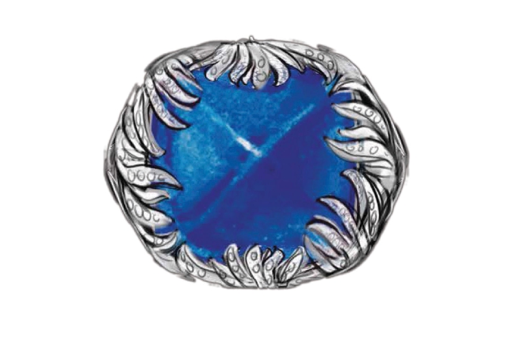 蒂芙尼BLUE BOOK高级珠宝2017 BLUE BOOK坦桑石及钻石戒指