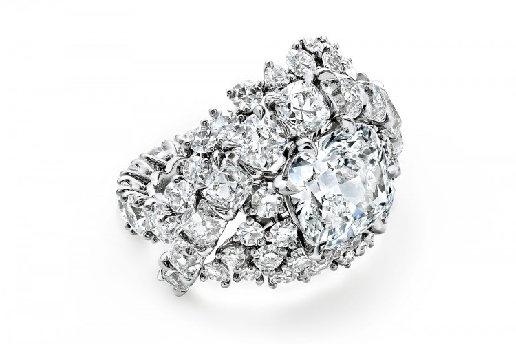 蒂芙尼BLUE BOOK高级珠宝2023 BLUE BOOK铂金镶嵌一颗重逾5克拉的钻石及钻石戒指