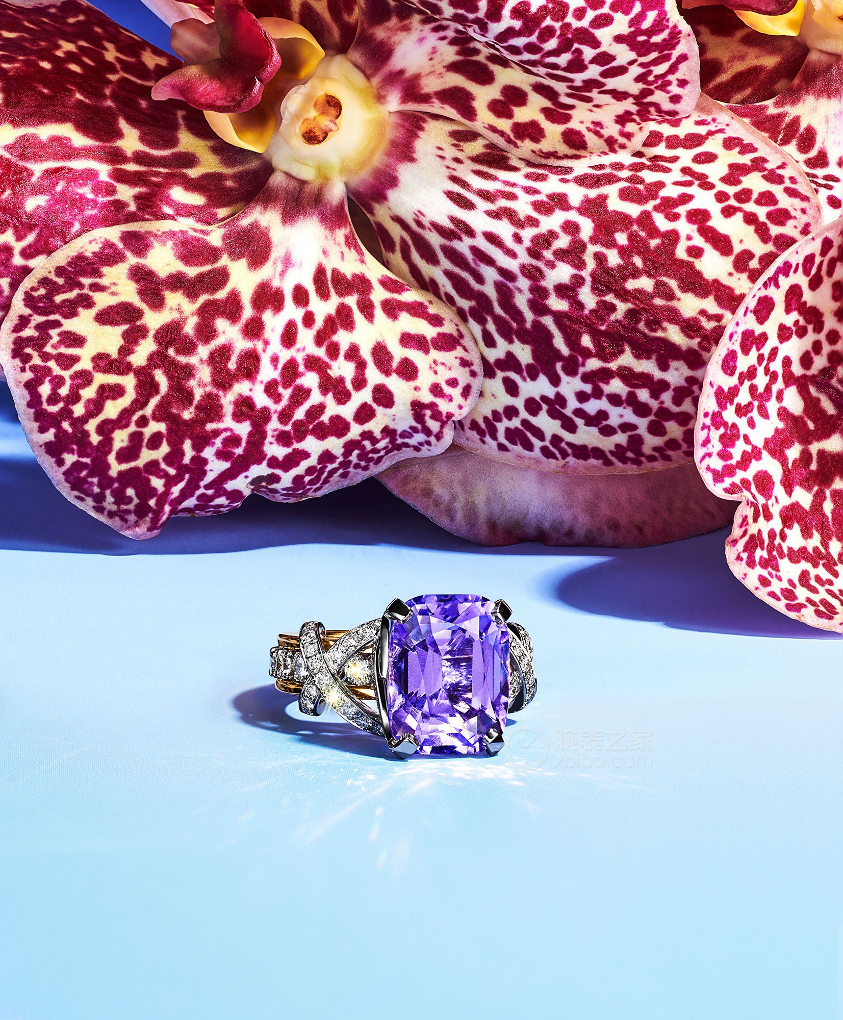 蒂芙尼BLUE BOOK高级珠宝铂金及18K黄金镶嵌紫色尖晶石及钻石缎带造型戒指戒指