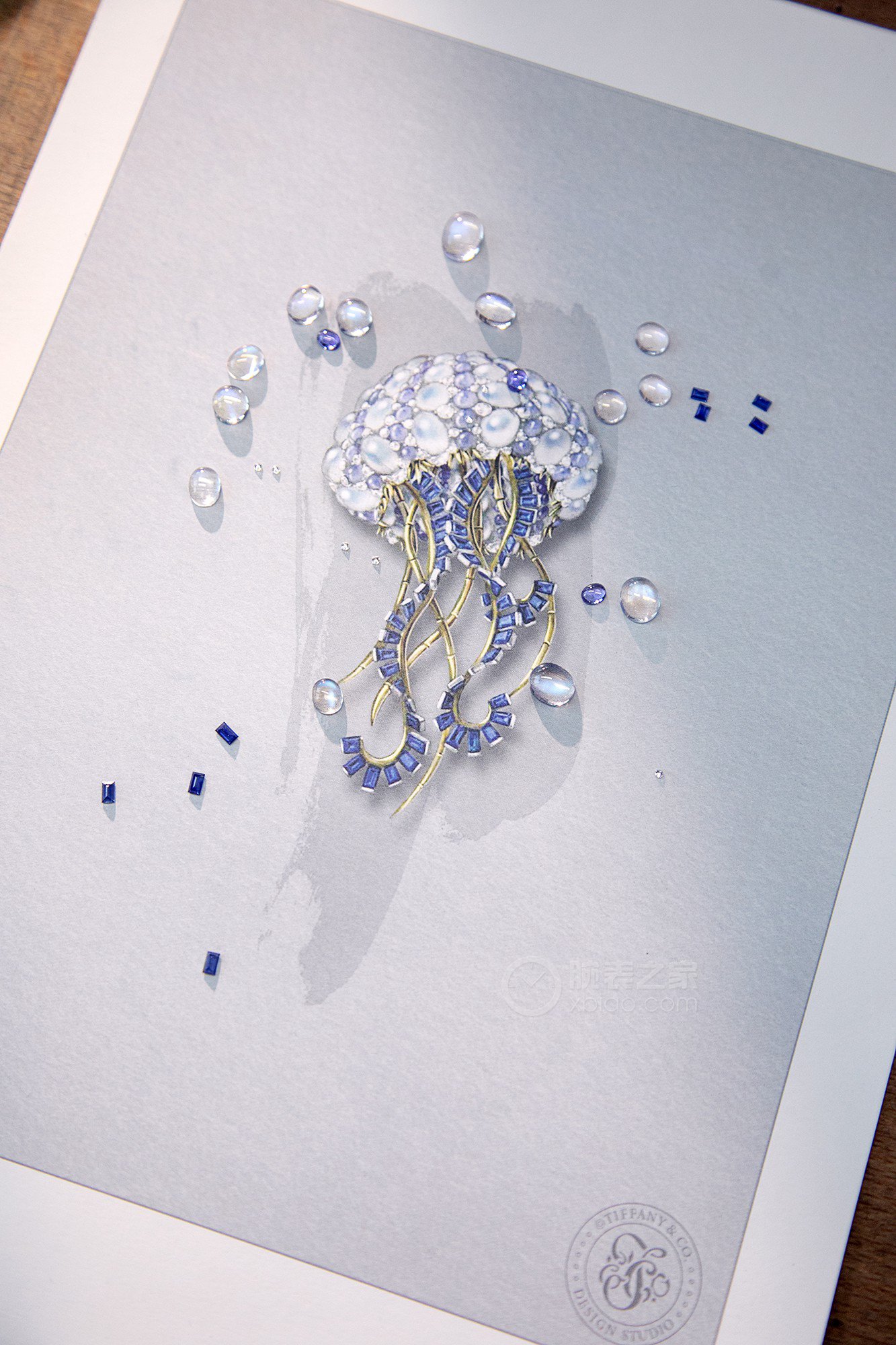 蒂芙尼BLUE BOOK高级珠宝水母绮想（Jellyfish）胸针胸针