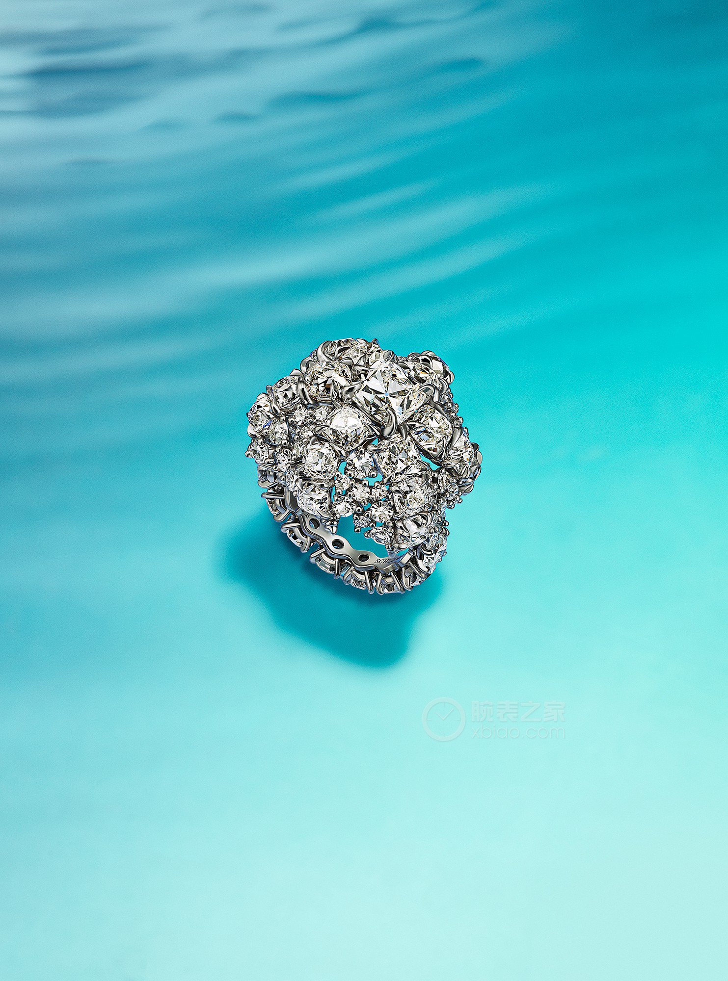 蒂芙尼BLUE BOOK高级珠宝铂金镶嵌一颗重逾2克拉的钻石及钻石戒指戒指