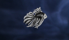 梵克雅宝主题系列SEVEN SEAS黑白泳者胸针