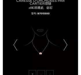 卡地亚CARESSE D'ORCHIDÉES PAR CARTIER系列B7015500实拍图