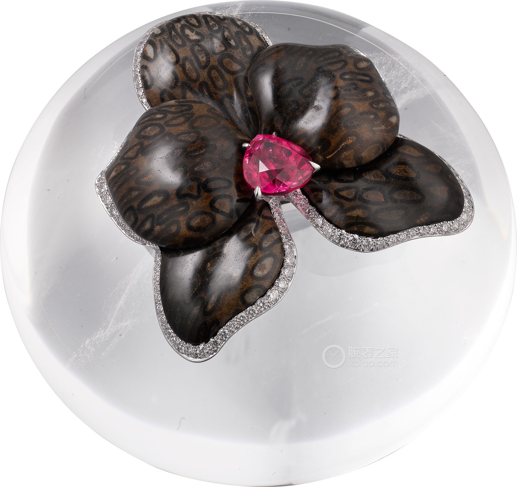 卡地亚Caresse d’Orchidées高级珠宝戒指戒指