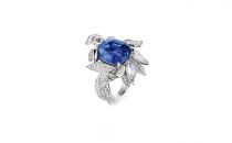 CHAUMET FIRMAMENT APOLLINIEN“Firmament Apollinien”白金戒指(“FirmamentApollinien”白金戒指“FirmamentApollinien”白金戒指)戒指