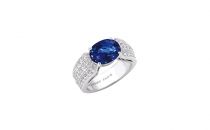 CHAUMET CLASSICS J120SD(J120SDJ120SD)戒指
