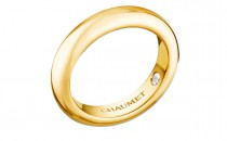CHAUMET Les Eternelles de Chaumet 083283(083283083283)戒指