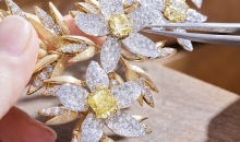 CHAUMET JEWELS BY NATURE 绿野芳踪085683