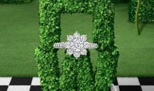 海瑞温斯顿SUNFLOWER珠宝系列Sunflower小型钻石戒指