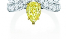 海瑞温斯顿THE NEW YORK COLLECTION 系列EAGLE系列EAGLE黄钻配钻石戒指