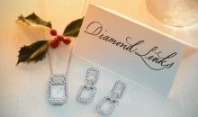 海瑞温斯顿DIAMOND LINKS 珠宝系列EADPRDMDLK