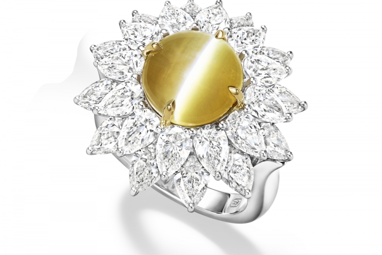 海瑞温斯顿MARVELOUS CREATIONS 高级珠宝猫眼金绿宝石戒指