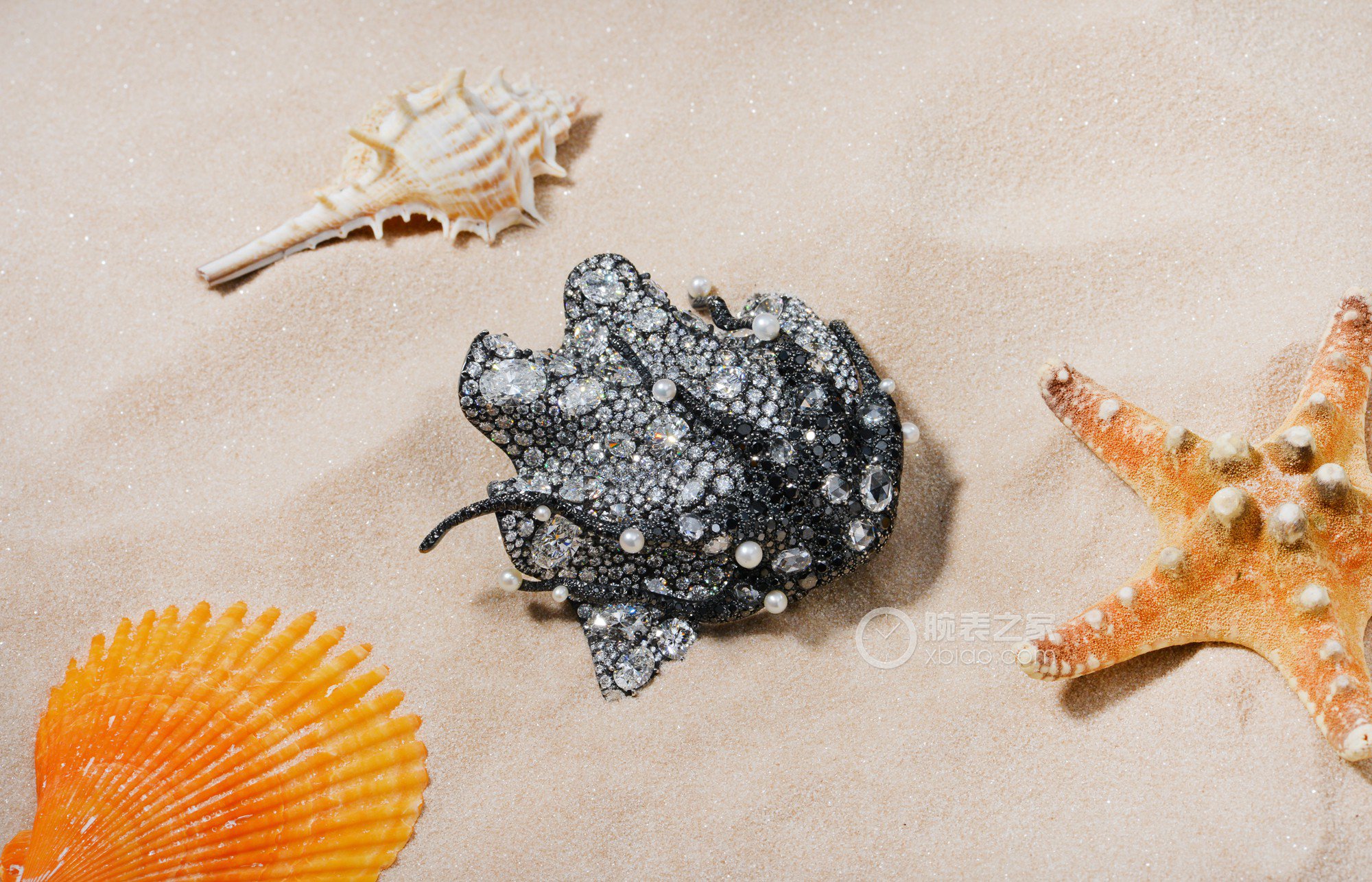 CINDY CHAO 海洋系列贝壳胸针胸针