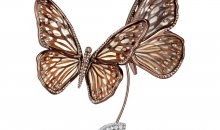 宝诗龙AILLEURS Papillon Diamant耳饰