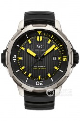 IWC万国表AUTOMATIC 2000自动腕表系列腕表