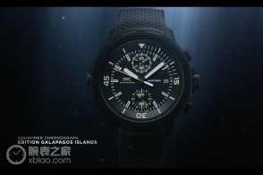 万国海洋时计系列IW379502腕表全方位多角度视频赏析